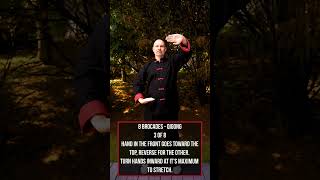 QiGong  8 Brocades 3 of 8 martialarts kungfu shaolin danielmattson qigong [upl. by Bonne424]