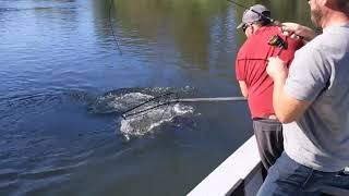 Salmon Fishing on the Chehalis River [upl. by Nathalia554]