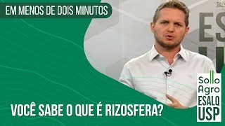 Você sabe o que é rizosfera [upl. by Earlie]