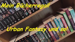 Mein Bücherregal Urban Fantasy und so ne [upl. by Shetrit775]