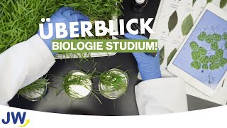 Das Studium der Biologie im Überblick [upl. by Chiaki]