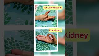 Easy hand gesture for wellness￼ kidney weightloss yoga healthy mudra ytshorts viralshorts [upl. by Bardo]