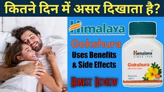 Himalaya Gokshura Benefits  Gokshura Tablet Ke Fayde  Tribulus Ayurveda Supplement In Hindi [upl. by Brandyn]