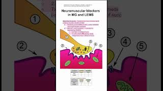 Neuromuscular blockers in MG and LEMS [upl. by Lorrad]