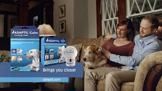 Is your dog anxious and fearful ADAPTIL is clinically proven to calm your dog [upl. by Nikolas441]