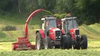 Masseys Silage Harvesting [upl. by Airotahs]