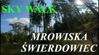 Świeradów Zdrój Pętla Mrowiska pętla Świeradowiec Wieża Sky Walk Singletrack [upl. by Yraccaz]