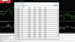 How work in metatrader 4 with multi account by TTFX [upl. by Leugimsiul406]