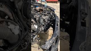 19 tdi after timing belt replacement TDI power tdi turbodiesel startupdieselengine [upl. by Gennifer]