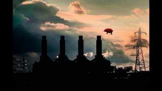 Pink Floyd  Pigs On The Wing  Live Full version with solo HD [upl. by Gnus648]