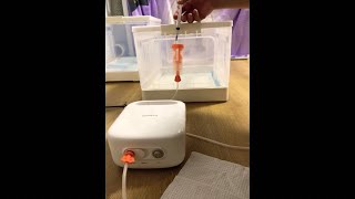 KITTENS LOVE This Nebulizer Trick 😻 PART 1 [upl. by Nnayd385]