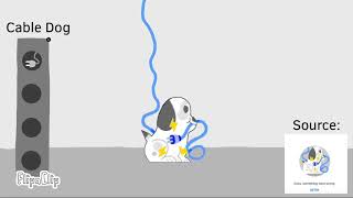 Something Went Wrong Island  Cable Dog Animated Unofficial [upl. by Gnihc]