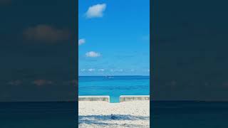 Arawak Cay Nassau Bahamas [upl. by Kevina]