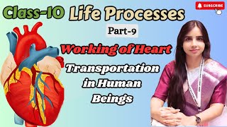 Class 10  Life Processes  Transportation In Human Beings  Working Of Heart  Session 2024  25 [upl. by Hallvard423]