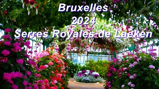 2024 Serres Royales de Laeken Bruxelles [upl. by Inaleon]