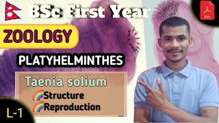 L1 Structure amp Reproduction of Taenia solium ● PLATYHELMINTHES ● ZOOLOGY ● BSc First Year ●TU [upl. by Bar]