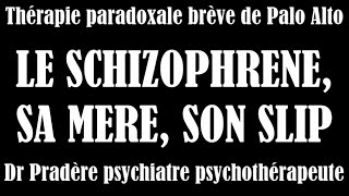 Le schizophrène sa mère son slip [upl. by Anelac427]