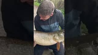 Huge Pb Pike On Deadbaits fishing [upl. by Zere]