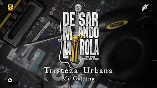 Desarmando La Rola  Tristeza Urbana  Mi Catrina [upl. by Onaicilef671]