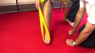 Tibialis Posterior Dysfunction  rehab exercises with latex band [upl. by Esorrebma]