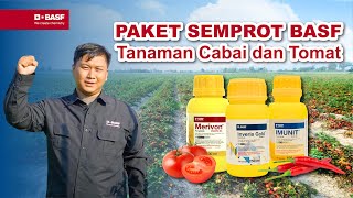 Paket Semprot Untuk Maksimalkan Panen Cabai amp Tomat [upl. by Adekam708]