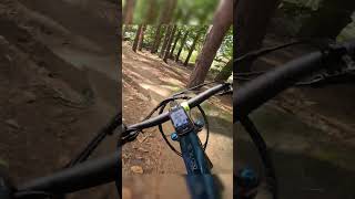 Ebike dirt jumps in the woods [upl. by Eniagrom259]