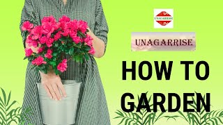 UNAGARRISE Plant Growth Promoter Liquidplants garden fertilizer [upl. by Ikiv]