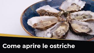 Come APRIRE LE OSTRICHE Ecco la tecnica perfetta [upl. by Olivie]