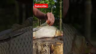 Village cooking channel  fish cooking in village mod VillageCookingChannel [upl. by Hughett]