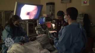 UMCs 1000th Endoscopic Ultrasound [upl. by Yehudi882]