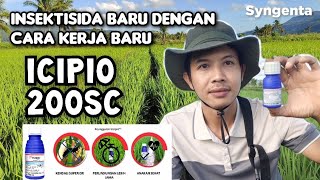 incipio 200sc Insektisida terbaru untuk Penggerek batang padi Sygenta [upl. by Maleen]