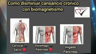 Biomagnetismo l Protocolo para Fatiga Crònica [upl. by Nortna]