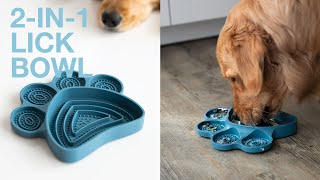 2in1 LICK BOWL SLOW FEEDER  STYLISH HOUND [upl. by Alicul]