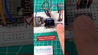 Heart Rate Monitor prototype with ESP32 MAX30102 [upl. by Kinsley417]