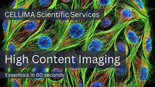 HighContent Imaging Essentials in 60 Seconds [upl. by Attah346]