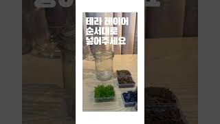 누구나 쉽게 만드는 모스 테라리움삼각모스 DIY 꾸미 [upl. by Erbma]