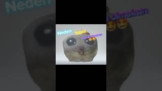 Neden bana abone olmalısın Slowed versiyon memes meme memes 🤣🤣🤣🤣 [upl. by Waldos957]