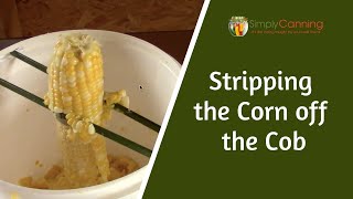 Cutting the corn off the cob for canning and dehydrating [upl. by Danby]