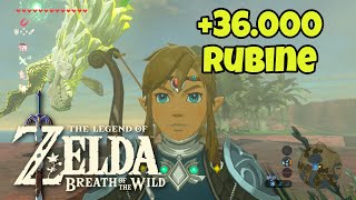 Unendlich Rubine farmen 36000 Rubine pro Stunde  Zelda Breath of the Wild [upl. by Bing]