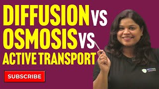 Diffusion Osmosis and Active Transport Key Differences Explained [upl. by Luapnaej]