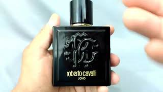 Roberto Cavalli Uomo  Fragrance Review [upl. by Aveline]