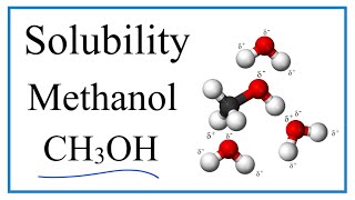 Is CH3OH Methanol Soluble or Insoluble in Water [upl. by Adriene667]