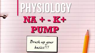 Na K ATPase  Sodium Potassium pump  Cell transport pump [upl. by Nylqcaj702]