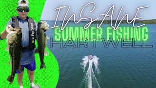 Can Bassmaster Classic Lake Hartwell COMPETE with Lanier on BIG bags of Bass We find out… [upl. by Curcio]