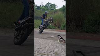 CBR 250 R dipake freestyle cbr250r freestyle wheelie [upl. by Aileahcim]