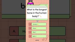 What is the longest bone in the human body 🦴 [upl. by Jimmie408]