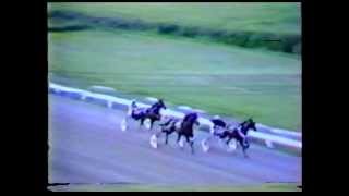 Sackville Downs Track Records 1986 [upl. by Gideon203]