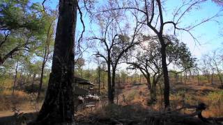 Mjejane Game Reserve Explanatory Video [upl. by Vilma]