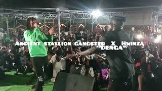 Stallion Gangster amp Hwinza Performing Denga live [upl. by Yrelle928]