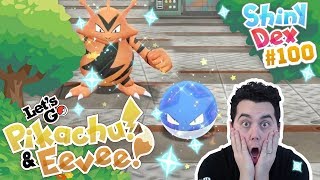 SHINY VOLTORB FINALLY ELECTABUZZ TOO POKEMON LETS GO PIKACHU and EEVEE [upl. by Spring]